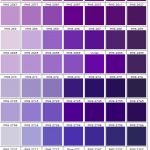 shades of purple and blue PMS 2562 - 2768